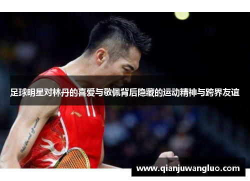 足球明星对林丹的喜爱与敬佩背后隐藏的运动精神与跨界友谊