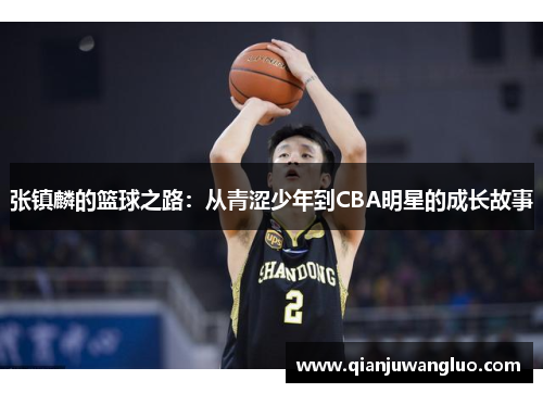 张镇麟的篮球之路：从青涩少年到CBA明星的成长故事